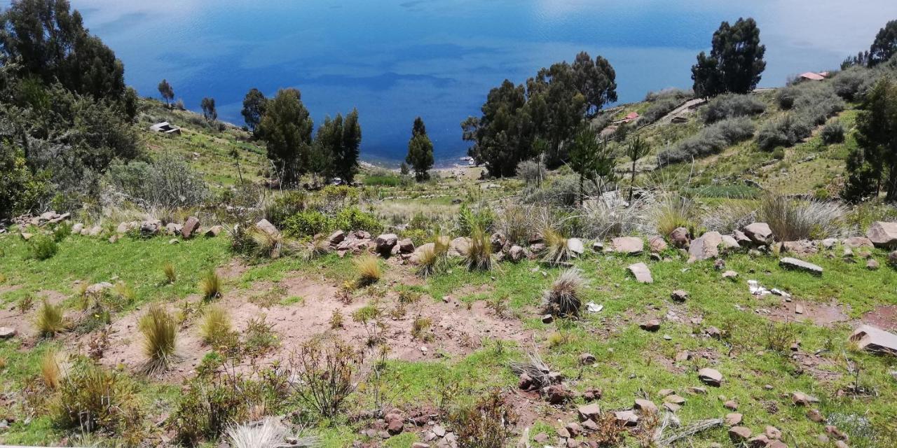 Taquile Hospedaje Mario Huillanopampa Buitenkant foto