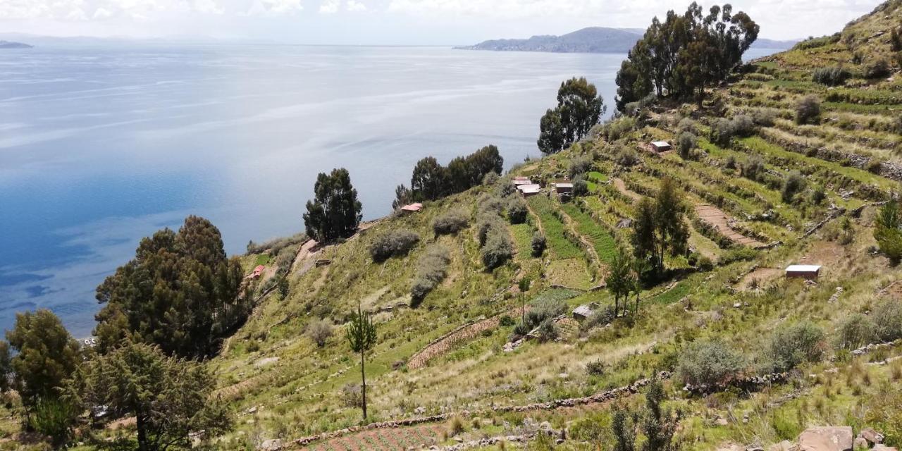 Taquile Hospedaje Mario Huillanopampa Buitenkant foto