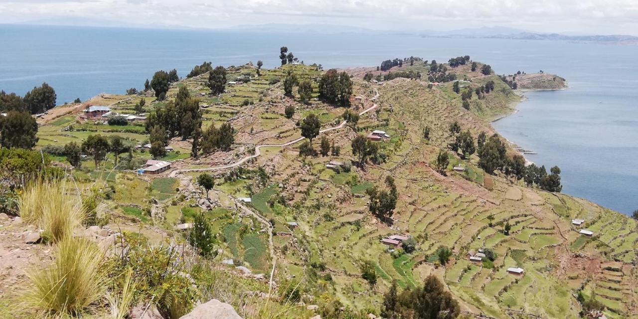 Taquile Hospedaje Mario Huillanopampa Buitenkant foto