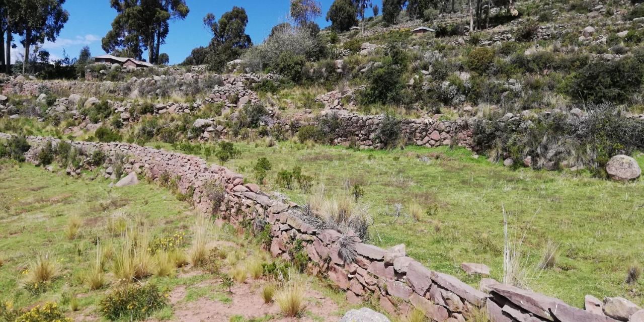 Taquile Hospedaje Mario Huillanopampa Buitenkant foto