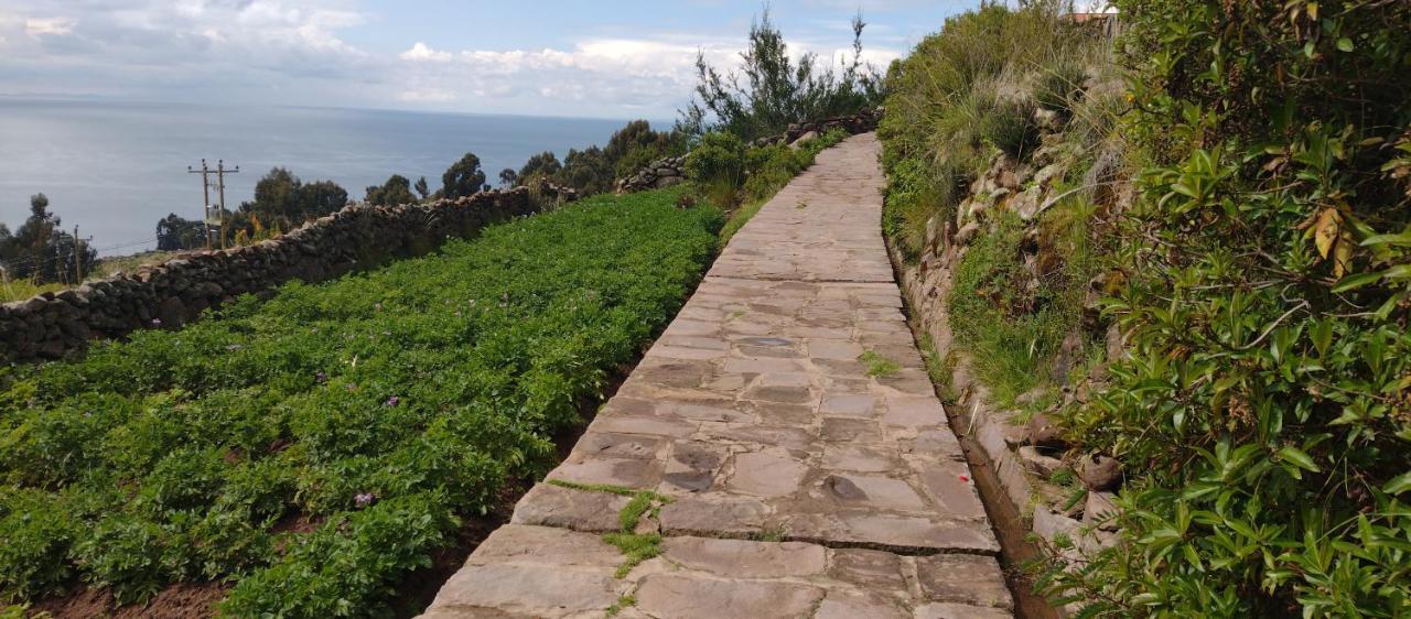 Taquile Hospedaje Mario Huillanopampa Buitenkant foto