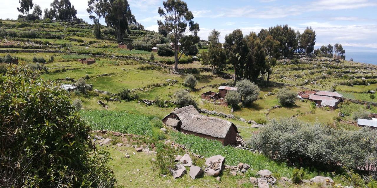 Taquile Hospedaje Mario Huillanopampa Buitenkant foto