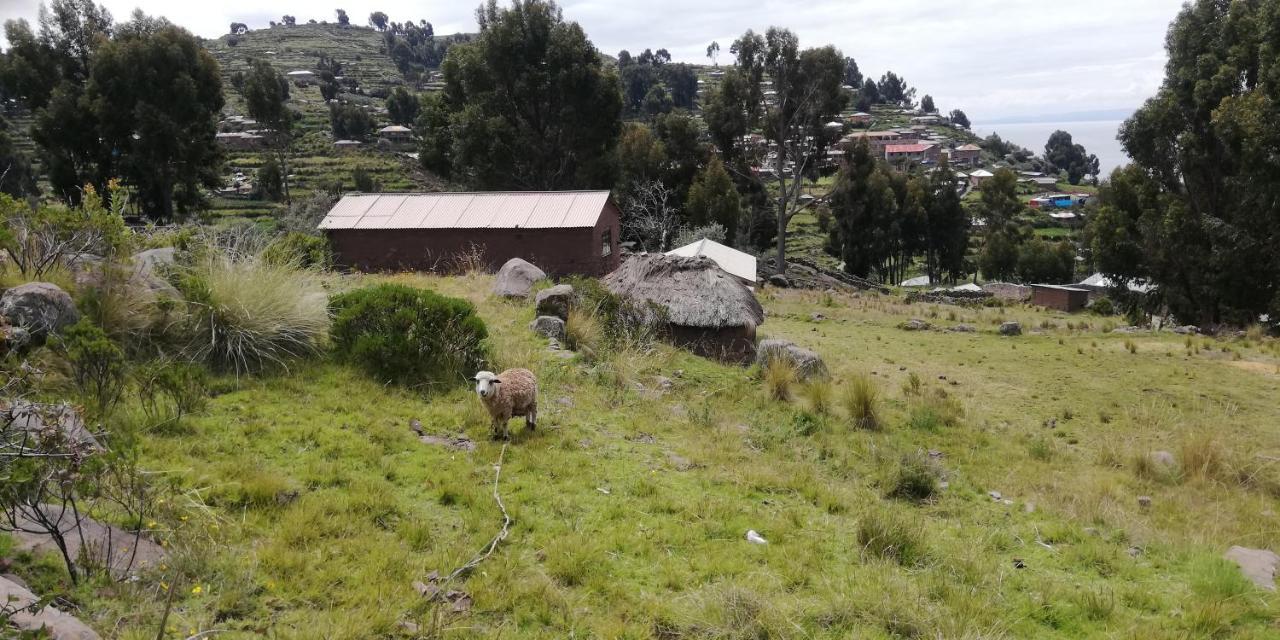 Taquile Hospedaje Mario Huillanopampa Buitenkant foto