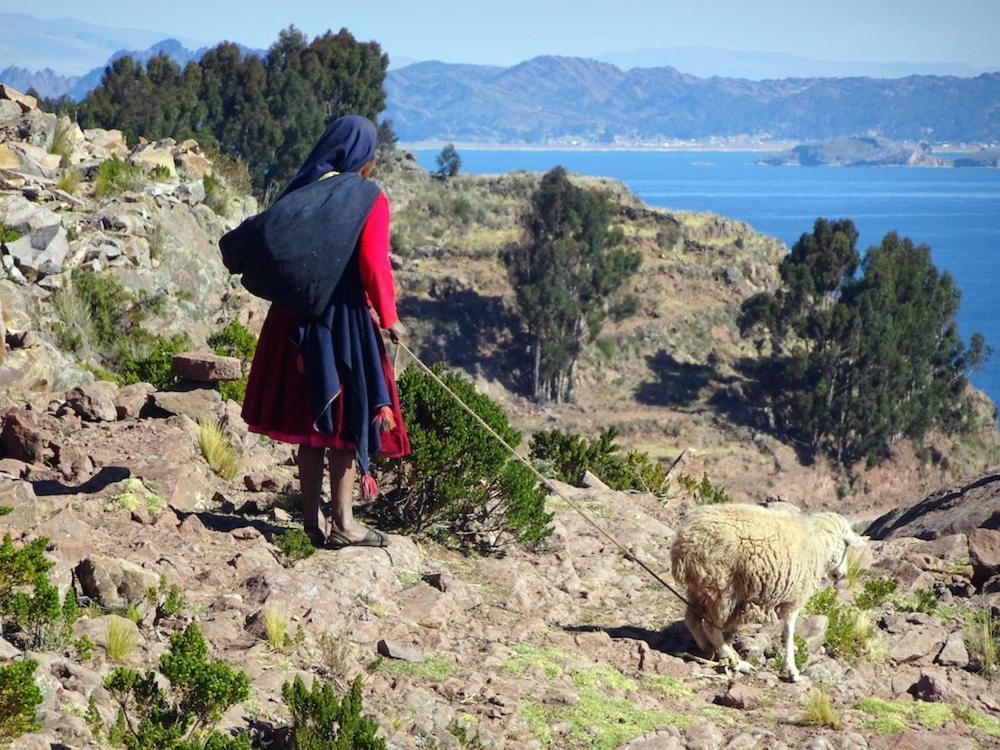 Taquile Hospedaje Mario Huillanopampa Buitenkant foto